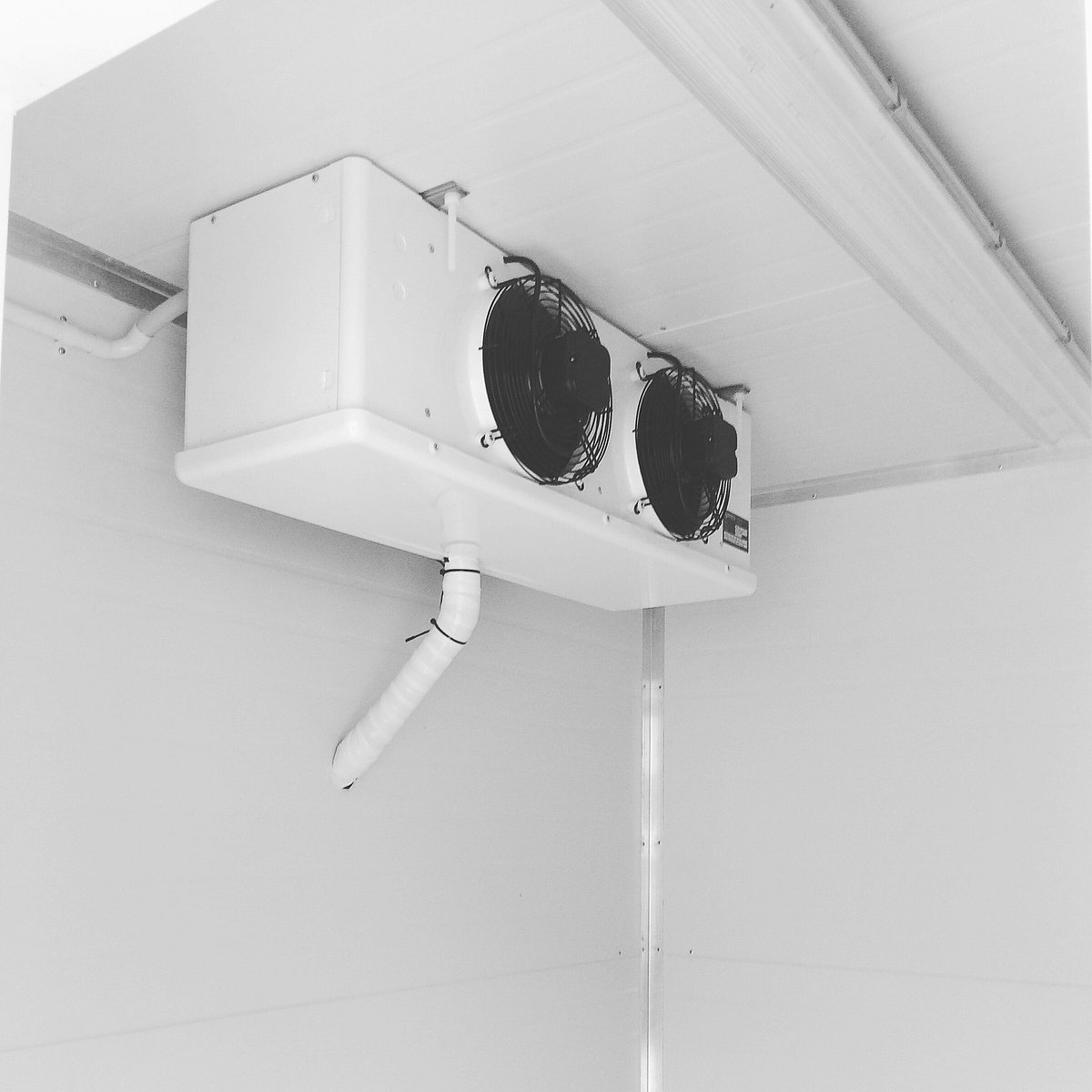 Dairy farming refrigeration system maintained by King Cooling in the Waikato